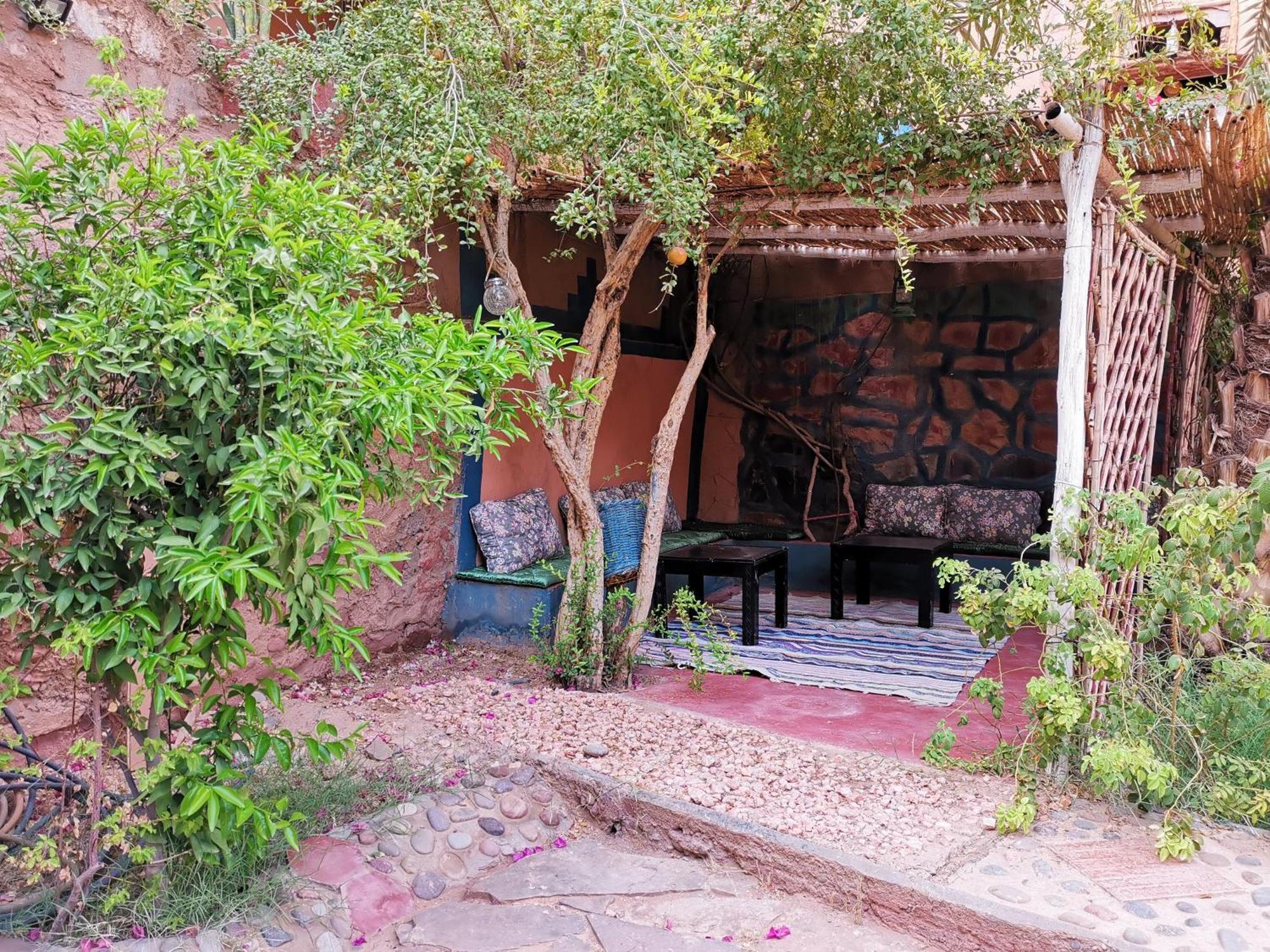 Riad Dar Zaouia Zagora Εξωτερικό φωτογραφία